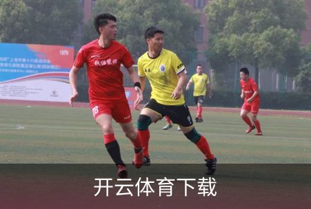 开云体育下载概况
